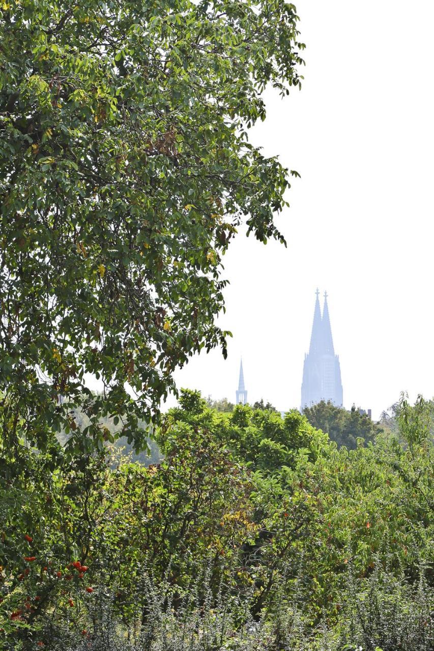 Top Apartments In Zentraler Lage Köln Eksteriør billede